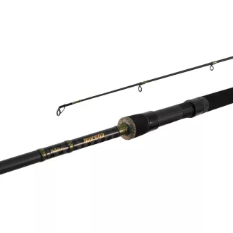 Delphin Murena 2,4m/100g/2 részes pergetőbot