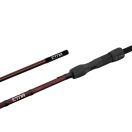 Delphin Etna Legend4ry 3,8m/3,5lbs/2 részes bojlis bot