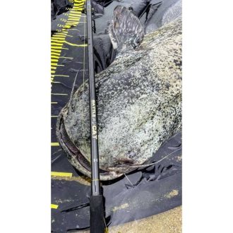 Black Cat Battle Cat H 3,2m/200g/2 részes harcsázó bot