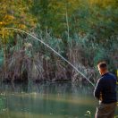 Nevis Dynamic Pole 700 7m spiccbot