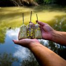 Stég Product PVA bag 70x140mm 50db