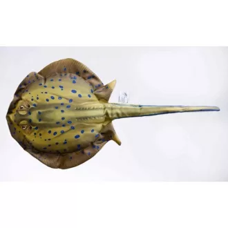PILLOW THE BLUESPOTTED STINGRAY 85CM