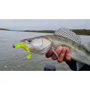 Nevis Impulse Shad 7.5cm 5db/cs (Watermelon)