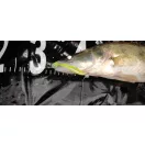 Reiva Zander Power Shad 8cm 5db/cs (Flash Chartreuse)