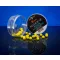 BaitBait Rodin Fluo popup 8mm