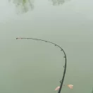 Korum Limitless Feeder 4,2m/220g/3 részes feeder bot