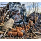 Stég Product Bojli 20mm Red Pepper 800g