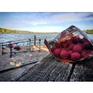 Stég Product Soluble Boilie 24mm Strawberry 1kg